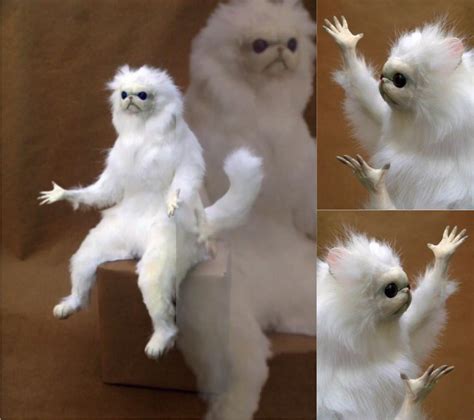 White Monkey Memes - Imgflip