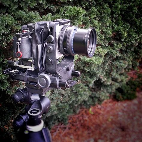 Digital View Camera 的图像结果