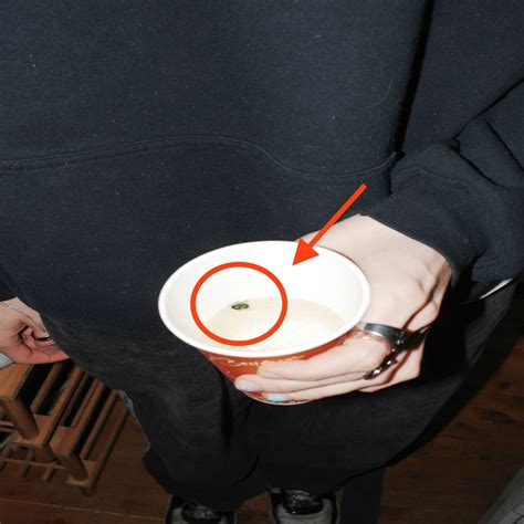 Stream ceechynaa remix (with snowtoucan) by lvndquist | Listen online for free on SoundCloud