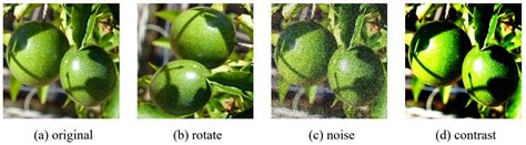 A Lightweight and High-Precision Passion Fruit YOLO Detection Model for ...