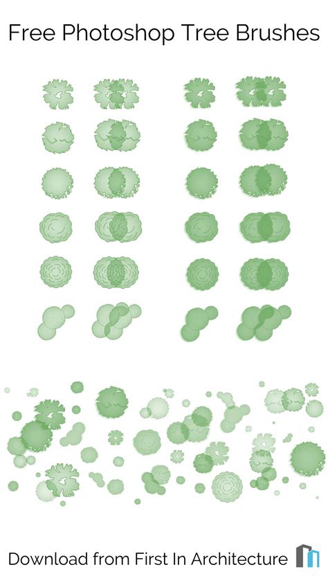 Free Photoshop Tree Plan Brushes Set 3