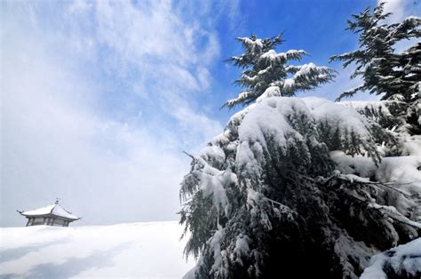 【雪压青松摄影图片】汝州风光摄影_