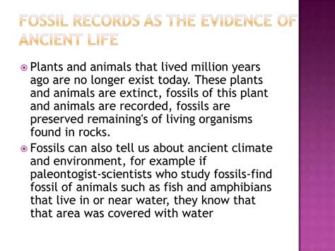 Define Evolution 的图像结果