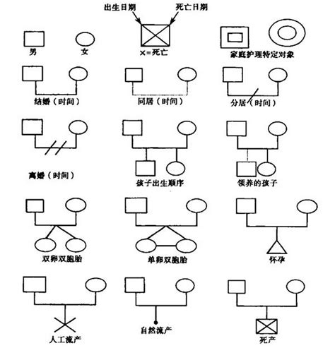 家系圖:基本含義,組家系成,_中文百科全書