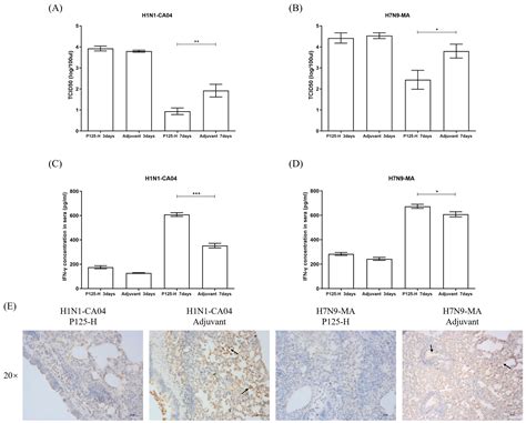 The Development of a Novel Broad-Spectrum Influenza Polypeptide Vaccine ...