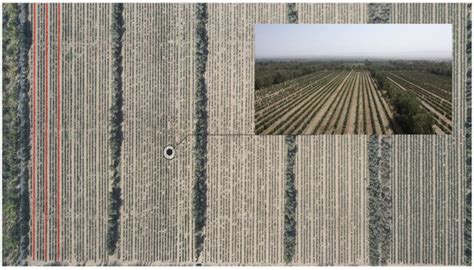 Accurate Recognition of Jujube Tree Trunks Based on Contrast Limited ...