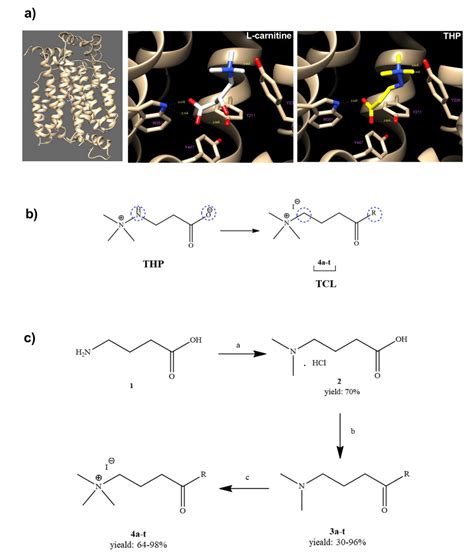The Discovery of Highly Potent THP Derivatives as OCTN2 Inhibitors ...