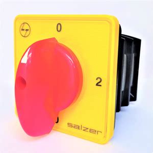 Salzer (L&T) 61152 63A 2Pole 2Way S63 Cam Operated Rotary Switch Price ...
