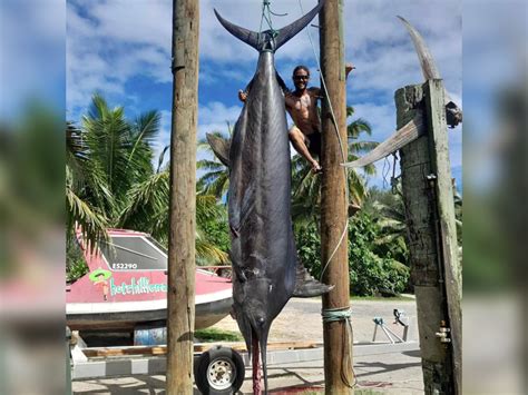 World Record Marlin