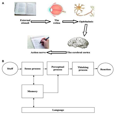 Human Cognitive Process 的图像结果