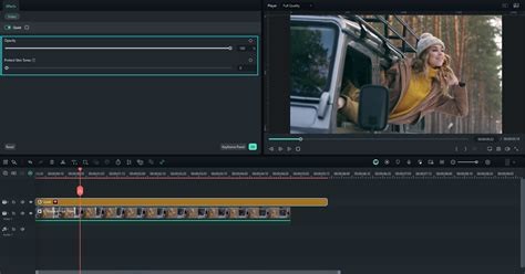Add and Customize Filters in Filmora