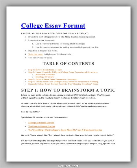 24 Greatest College Essay Examples - RedlineSP