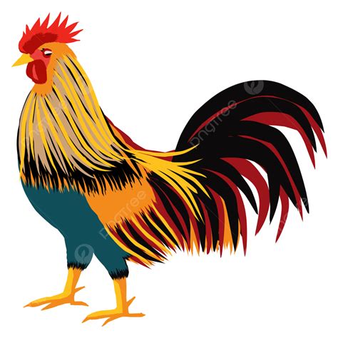 White Fighting Roosters