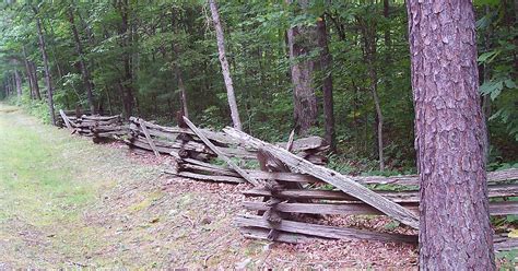 乔治 华盛顿 和 杰斐逊 国家 公园 的图像结果