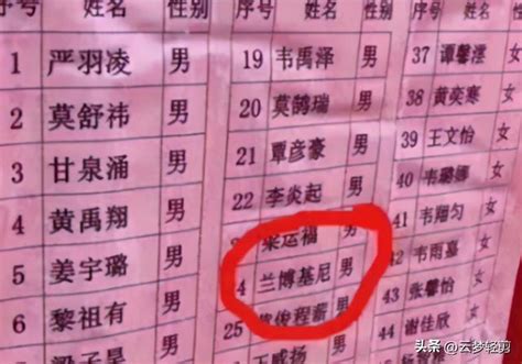 00后不懂起名可以用八字起名字帮助孩子正确起名。 | 顺善名阁