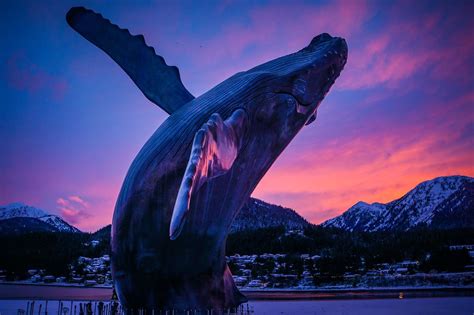Tahku, the Alaska Whale Sculpture - Juneau, AK, USA