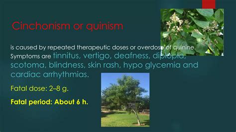 Quinine Intoxication: Key Signs To Watch For