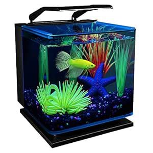 GloFish Betta Aquarium Kit 3 Gallons, Includes LED Lighting And Filter ...