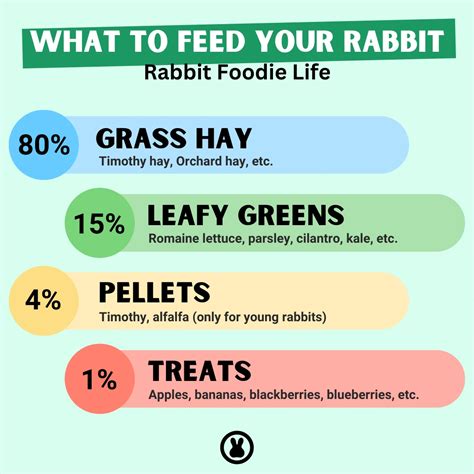 Are Rabbits Good Pets? A Comprehensive Guide, Pros and Cons