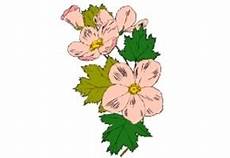 malvorlagen jahreszeiten kostenlos runterladen ausmalbilder blumen jahreszeiten malvorlagen jahreszeiten kostenlos runterladen ausmalbilder blumen jahreszeiten