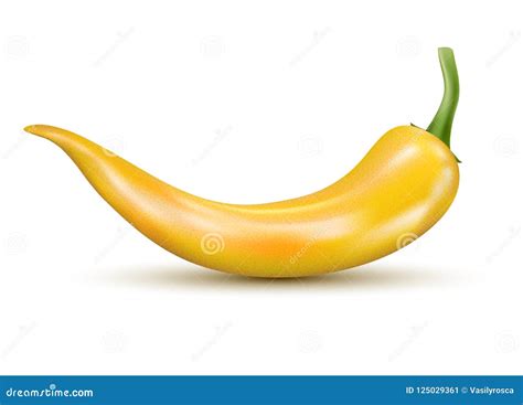 Fresh Yellow Hot Chili Pepper. Kitchen Organic Vector Spicy Taste Chili ...
