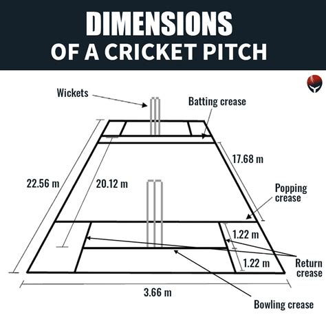 Cricket Pitch Dimensions Drawings Dimensions Com - vrogue.co