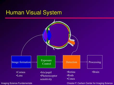 Human Visual System 的图像结果