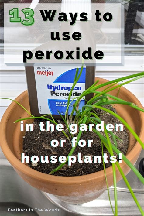 13 uses for peroxide in the garden (and on houseplants!) | Pesticides for plants, Plant pests ...