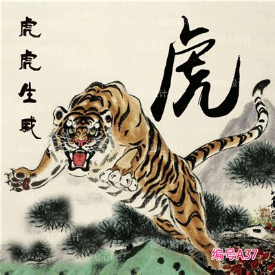 名字带“虎”的市民，免票啦丨爱申活暖心春_上海动物园_华南_老虎