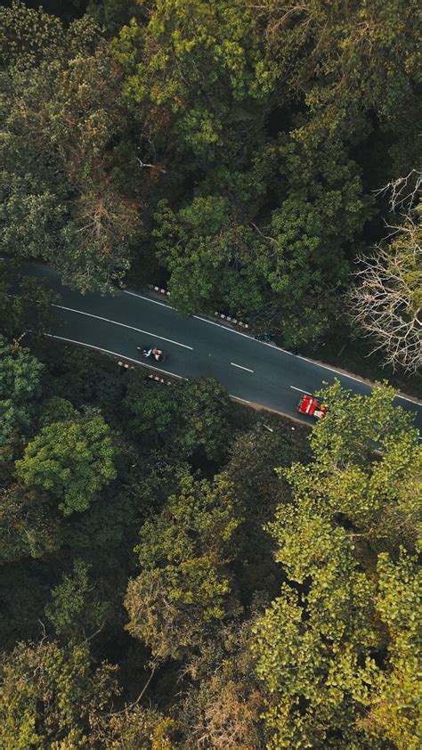 Royalty Free Stock Footage 的图像结果