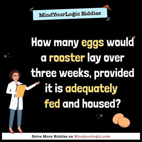 How many eggs would a rooster lay over three weeks, provided ...