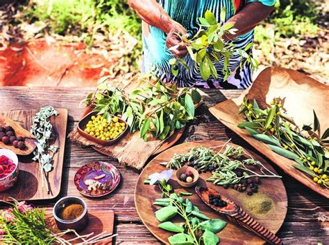 Indigenous Chef Food Truck: Authentic Flavors on Wheels