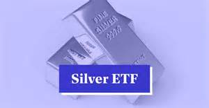 Silver ETF: This is India's oldest silver ETF, which has multiplied its ...