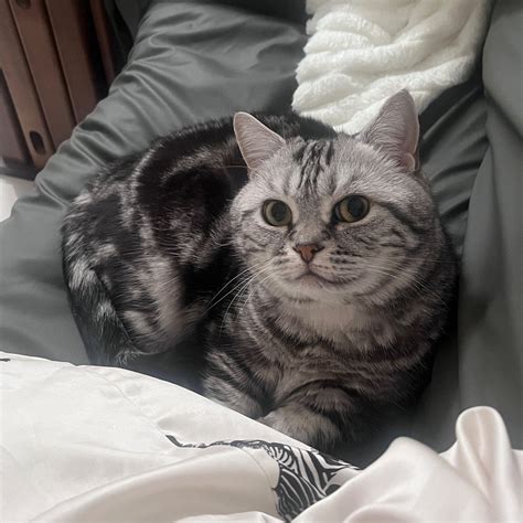 LIU MINGYUAN Guide (2026) All You Need to Know BEFORE You Go (with Photos)