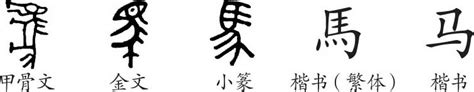 马字艺术 - 文化艺术 - 中国传统文化网