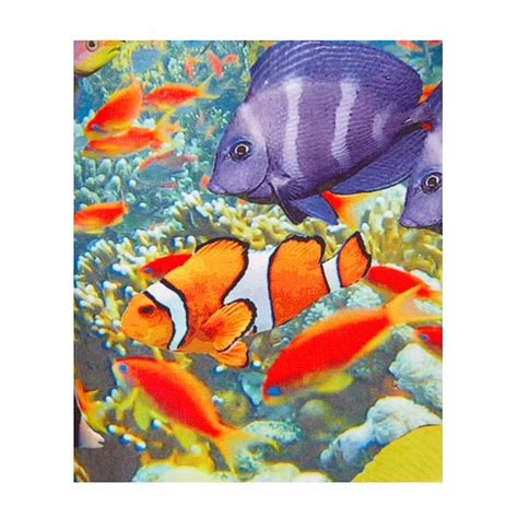 Boys Aquarium Swim Shorts I Swim Diaper Online | Swim Nappy I The Beach ...