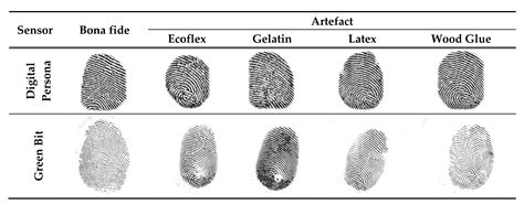 4 Main Types Of Fingerprints