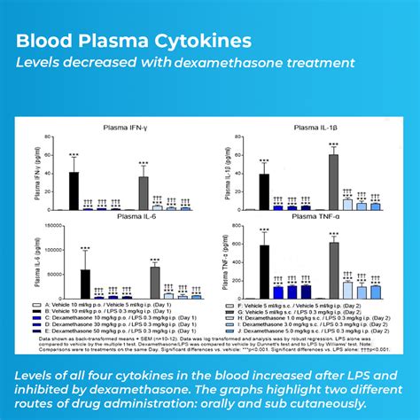 LPS Algorithm 的图像结果