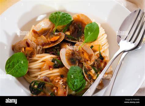 Image result for Shellfish Pasta