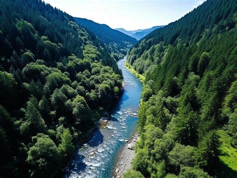 Landscape 的图像结果