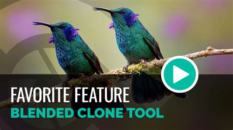 Acdcee Tutorials 的图像结果
