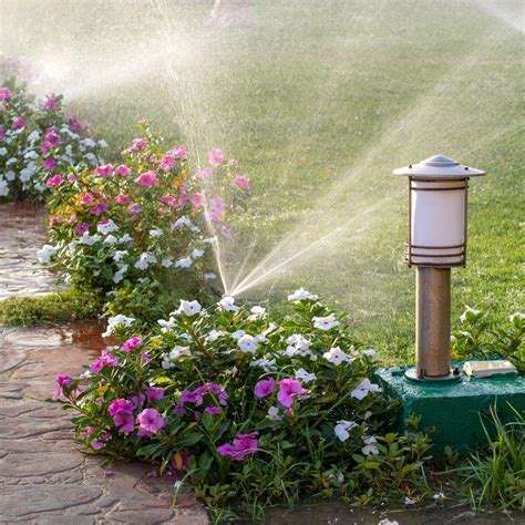 Tips for Planting Grass Seeds in the Fall - McCarty Mulch