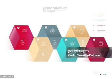 Evolution Graphic 的图像结果