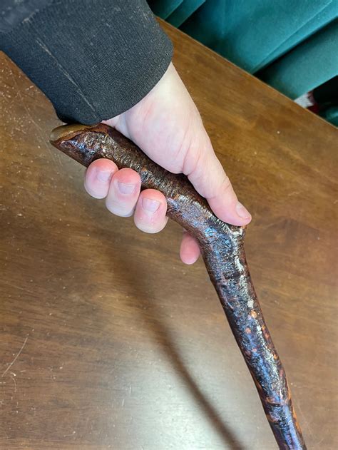 Blackthorn Canes Walking Sticks