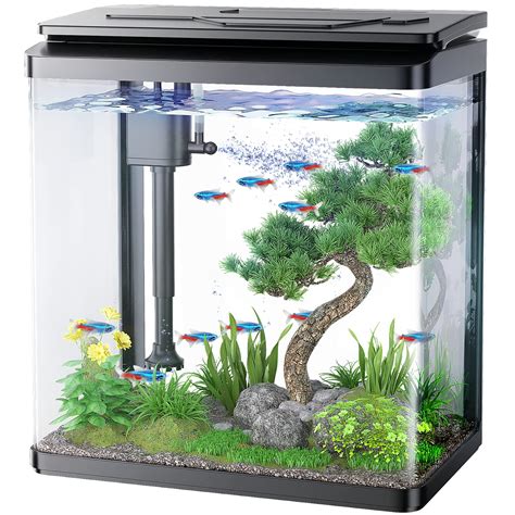 3 Gallon Fish Tanks