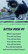 Image result for Cute Cat Poems