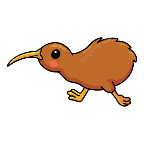 Cute Little Kiwi Bird Cartoon, Happy, Beast, Apteryx PNG and Vector ...