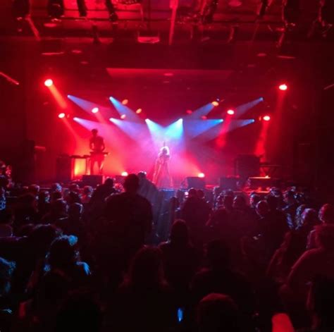 Viola Odette Harlow | Can’t wait for 2025 🌹🕊️ well, with art | Instagram