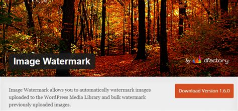 How to add a watermark to images in WordPress and to protect them from ...