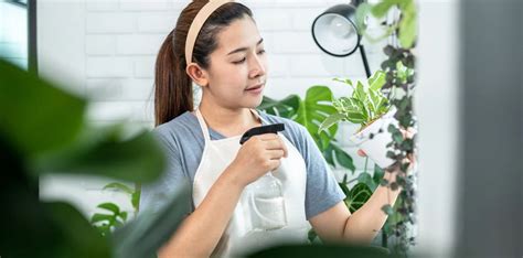 Plants That Produce Oxygen 24 Hours a Day – Pariworld